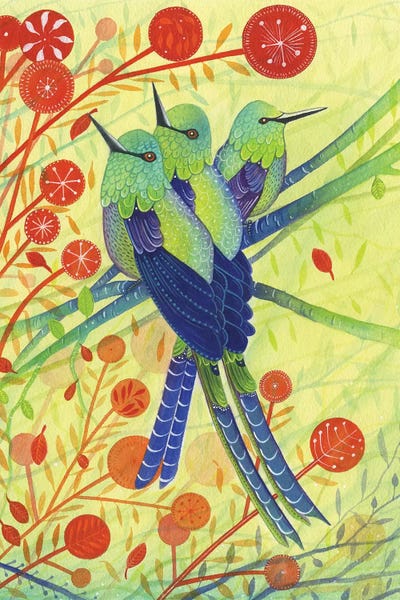 Michelle Campbell: Hummingbirds by Michelle Campbell