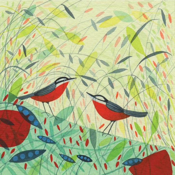 Nuthatches: Nuthatches Design by Michelle Campbell