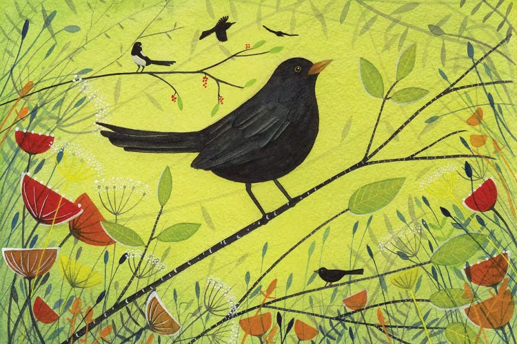 Spring Blackbird