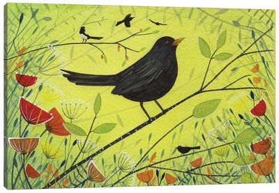 Spring Blackbird Canvas Art Print - Michelle Campbell