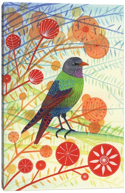 Starling I Canvas Art Print - Michelle Campbell