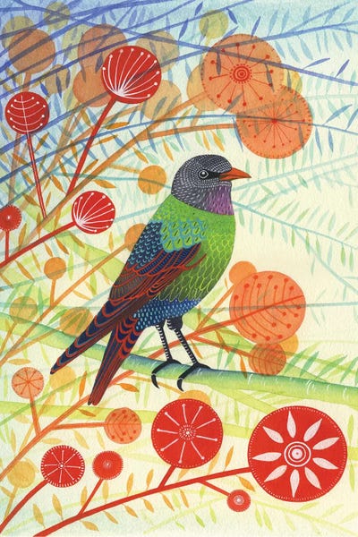 Michelle Campbell: Starling I by Michelle Campbell