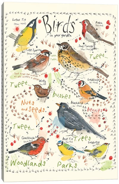 Birds In Your Garden II Canvas Art Print - Michelle Campbell