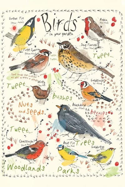 Michelle Campbell: Birds In Your Garden II by Michelle Campbell
