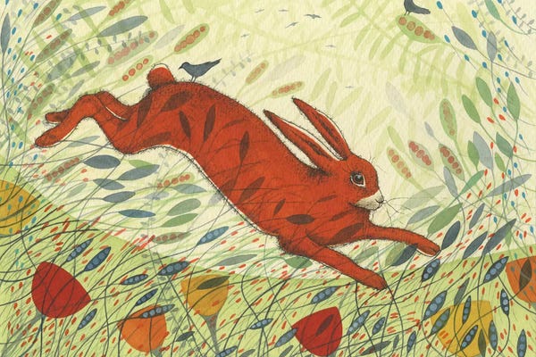 Michelle Campbell: The Hare & The Crows by Michelle Campbell