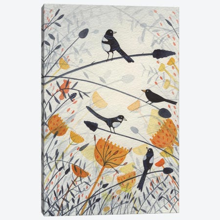 Three Magpies & A Blackbird Canvas Print #MCE42} by Michelle Campbell Art Print