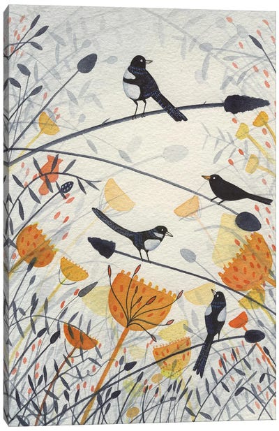 Three Magpies & A Blackbird Canvas Art Print - Michelle Campbell