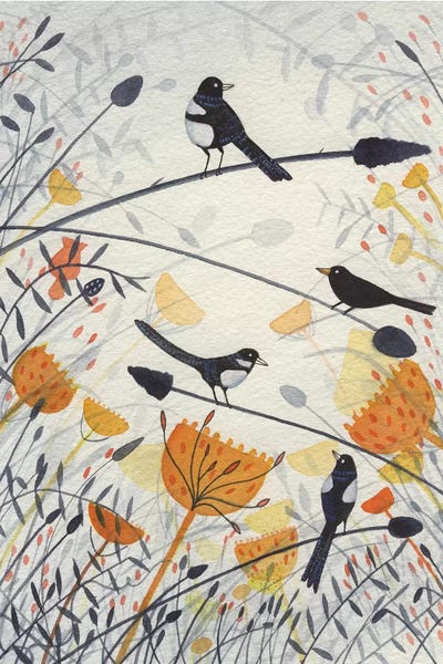 Michelle Campbell: Three Magpies & A Blackbird by Michelle Campbell