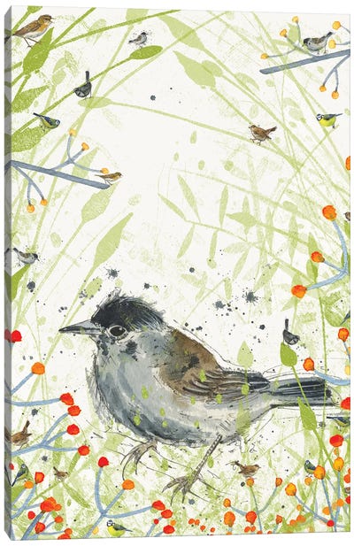 Warbler Canvas Art Print - Michelle Campbell