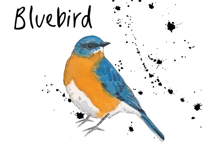 Bluebird