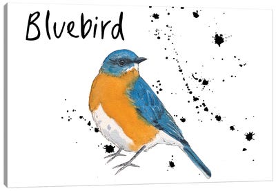 Bluebird Canvas Art Print - Michelle Campbell