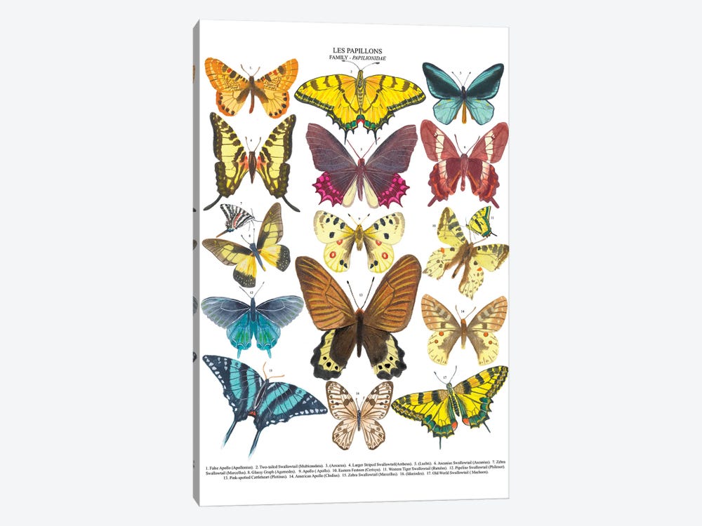 Butterflies by Michelle Campbell 1-piece Art Print