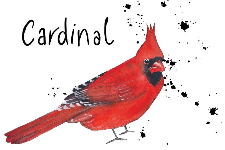 Cardinal