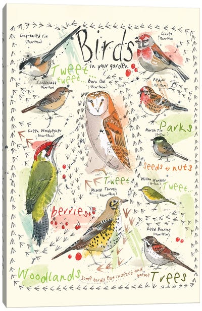 Birds In Your Garden III Canvas Art Print - Michelle Campbell