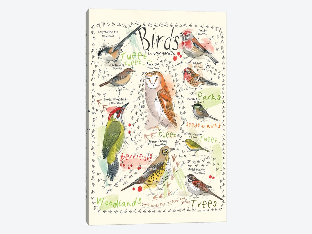 Birds In Your Garden III by Michelle Campbell 1-piece Art Print