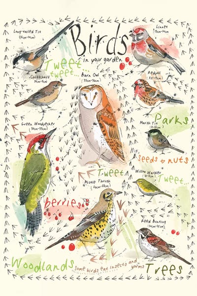 Michelle Campbell: Birds In Your Garden III by Michelle Campbell