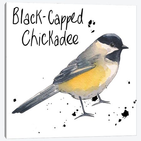 Chickadee Canvas Print #MCE50} by Michelle Campbell Canvas Art