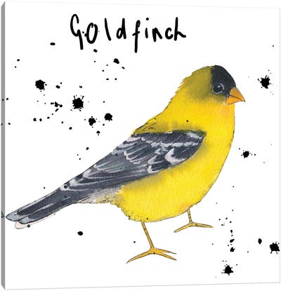 Goldfinch Canvas Art Print - Finch Art
