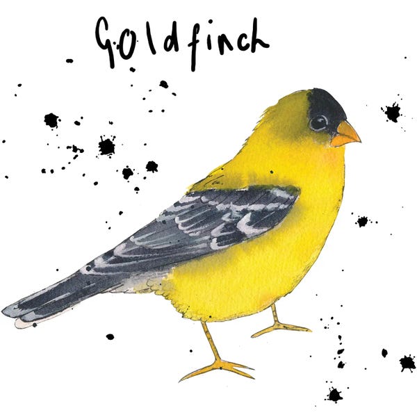 Michelle Campbell: Goldfinch by Michelle Campbell