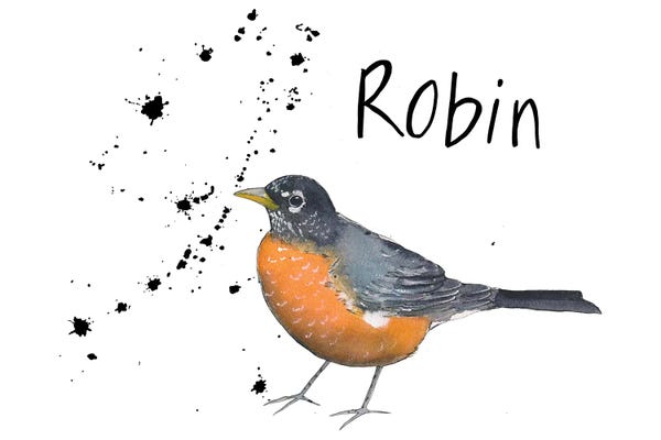 Michelle Campbell: Robin by Michelle Campbell