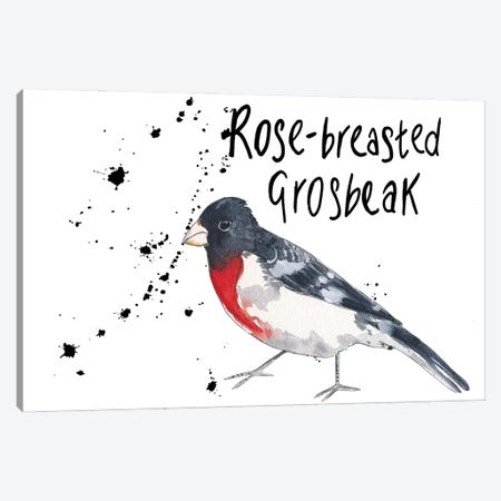 Rose-Breasted Grosbeak Canvas Print #MCE56} by Michelle Campbell Art Print