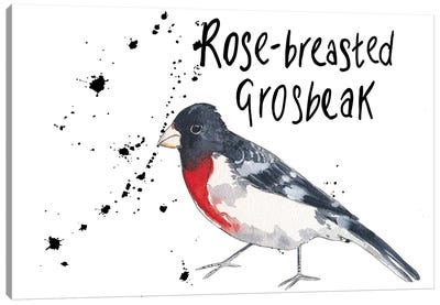 Rose-Breasted Grosbeak Canvas Art Print - Michelle Campbell