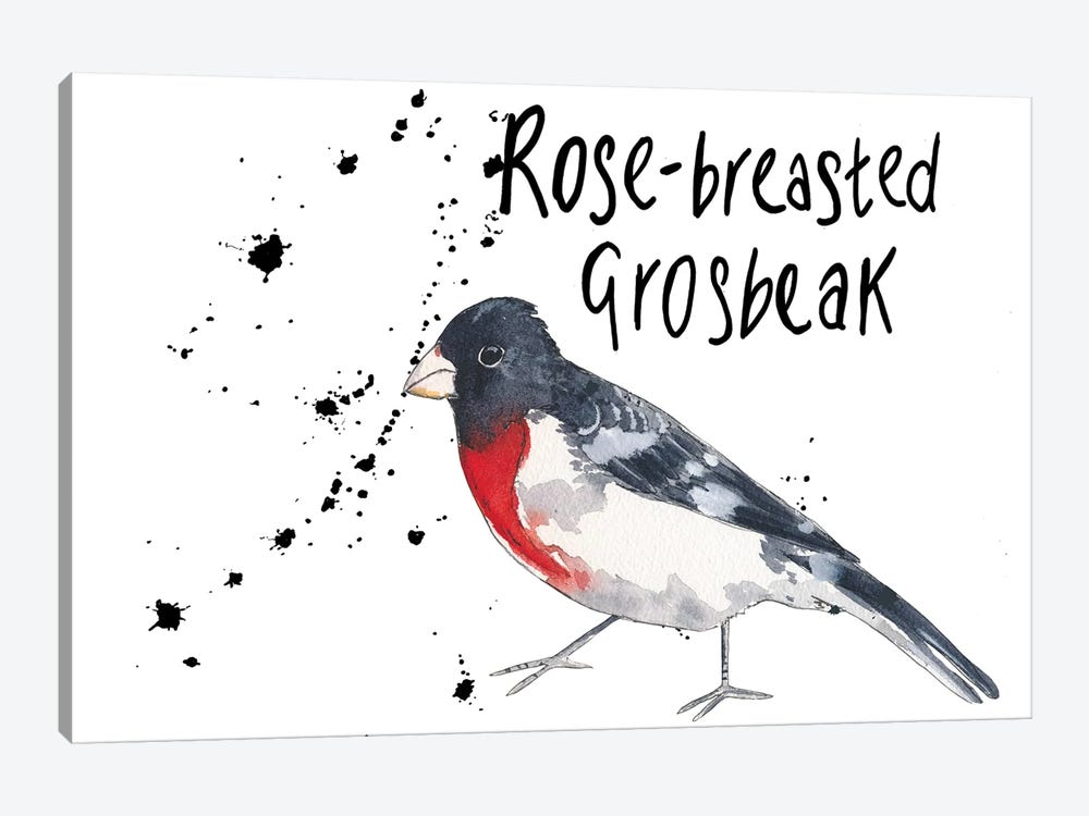 Rose-Breasted Grosbeak by Michelle Campbell 1-piece Canvas Art