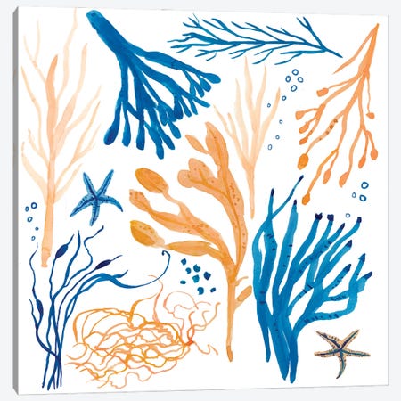 Seaweed Coastal Canvas Print #MCE57} by Michelle Campbell Canvas Art Print
