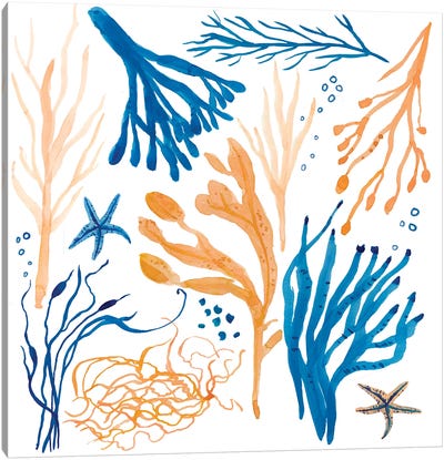 Seaweed Coastal Canvas Art Print - Coral Art