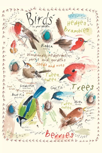 Michelle Campbell: Birds In Your Garden IV by Michelle Campbell