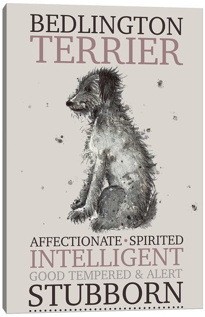 Bedlington Terrier Dog Characteristics Canvas Art Print