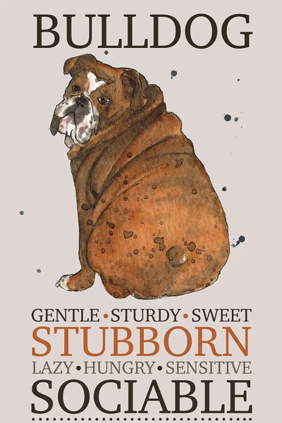Bulldog Dog Characteristics by Michelle Campbell metal wall art
