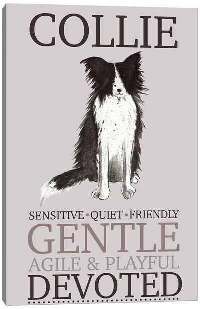 Collie Dog Characteristics Canvas Art Print - Michelle Campbell