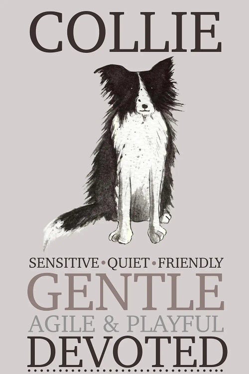 Collie Dog Characteristics by Michelle Campbell wall art