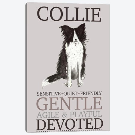 Collie Dog Characteristics Canvas Print #MCE67} by Michelle Campbell Canvas Art