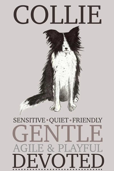 Michelle Campbell: Collie Dog Characteristics by Michelle Campbell