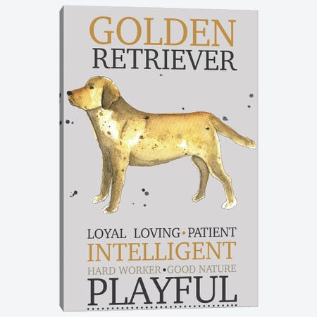 Golden Retriever Dog Characteristics Canvas Print #MCE69} by Michelle Campbell Canvas Art Print