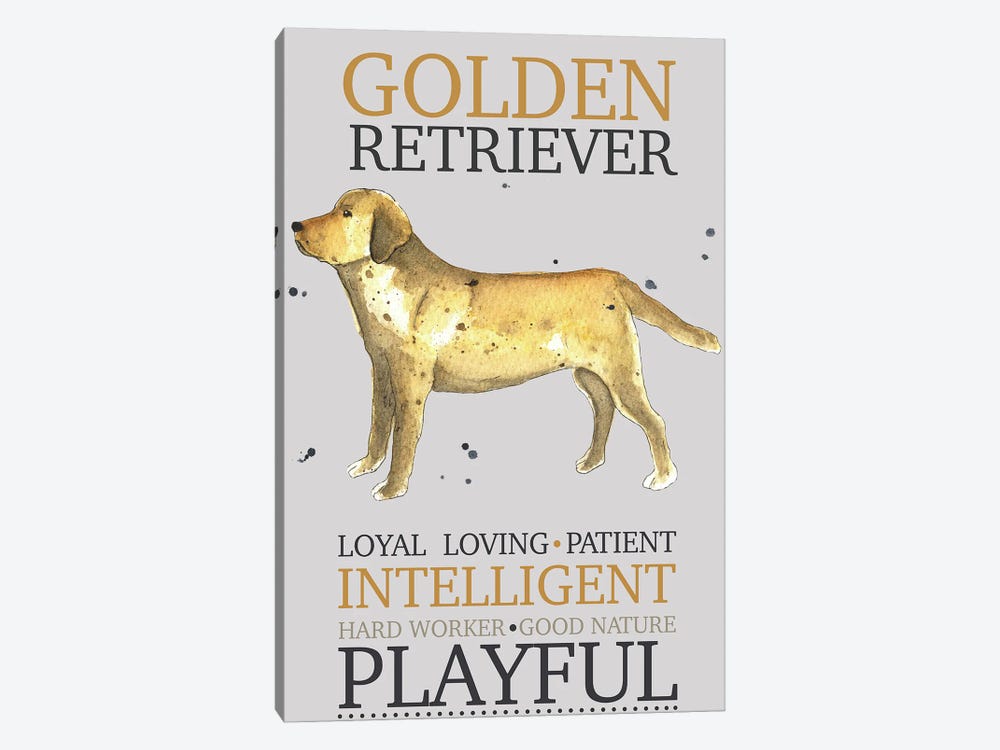 Golden Retriever Dog Characteristics by Michelle Campbell 1-piece Canvas Art