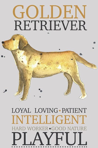 Michelle Campbell: Golden Retriever Dog Characteristics by Michelle Campbell