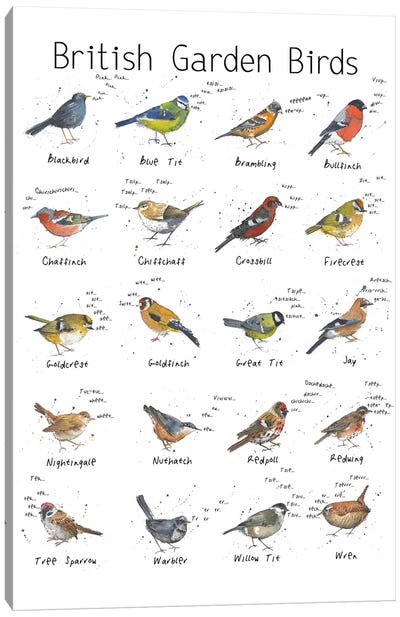 British Garden Birds Canvas Art Print - Michelle Campbell