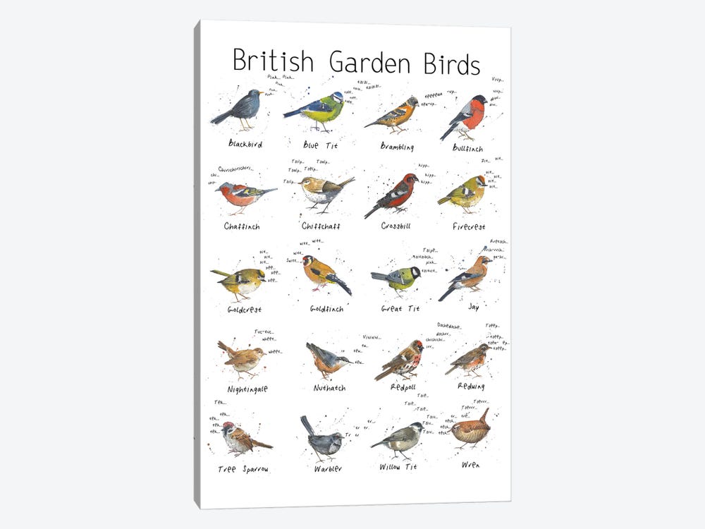 British Garden Birds by Michelle Campbell 1-piece Art Print