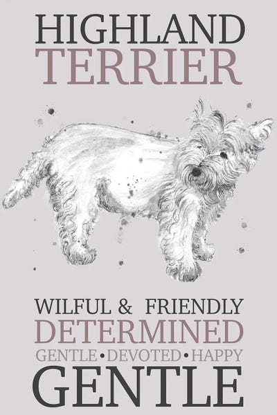 Highland Terrier Dog Characteristics by Michelle Campbell metal wall art