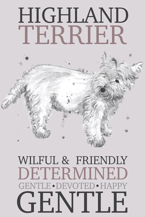 Highland Terrier Dog Characteristics