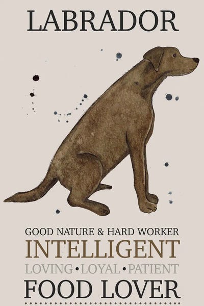 Labrador Dog Characteristics by Michelle Campbell canvas print