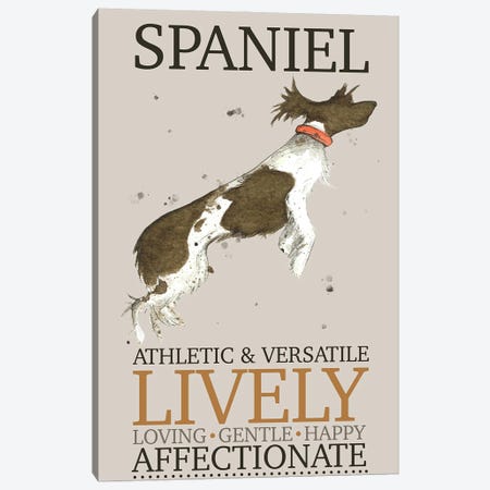 Spaniel Dog Characteristics Canvas Print #MCE73} by Michelle Campbell Canvas Art