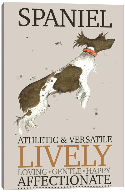 Spaniel Dog Characteristics Canvas Art Print - Michelle Campbell