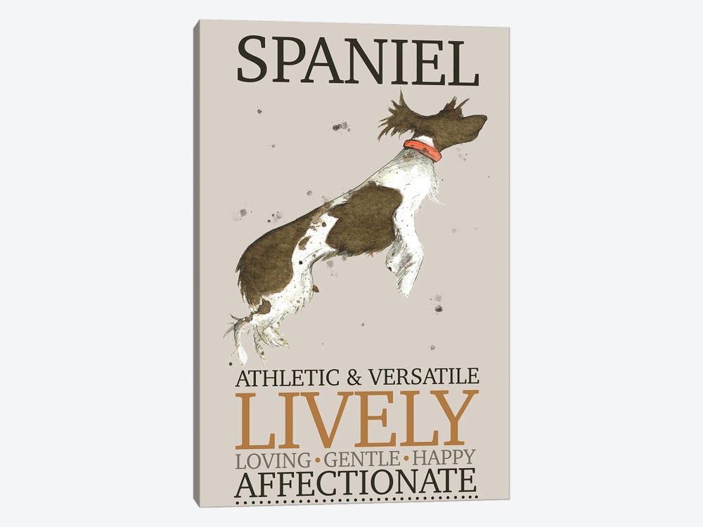 Spaniel Dog Characteristics by Michelle Campbell 1-piece Canvas Print
