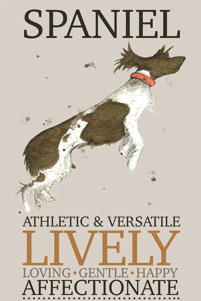 Michelle Campbell: Spaniel Dog Characteristics by Michelle Campbell