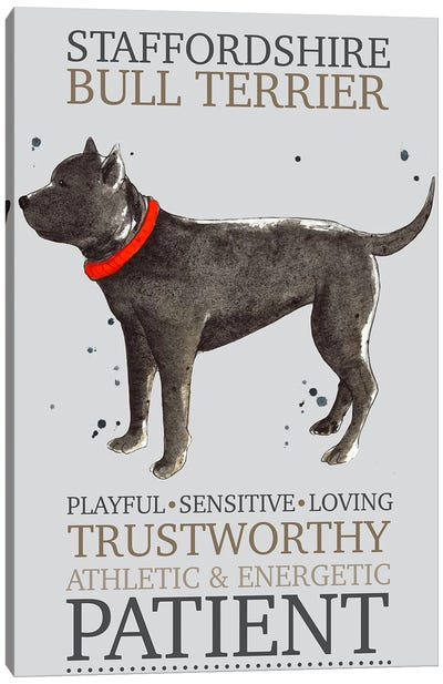 Staffordshire Bull Terrier Dog Characteristics Canvas Art Print - Pit Bull Art