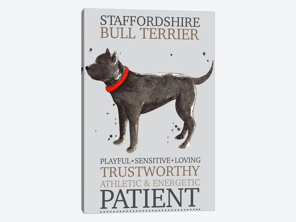 Staffordshire Bull Terrier Dog Characteristics by Michelle Campbell 1-piece Canvas Art